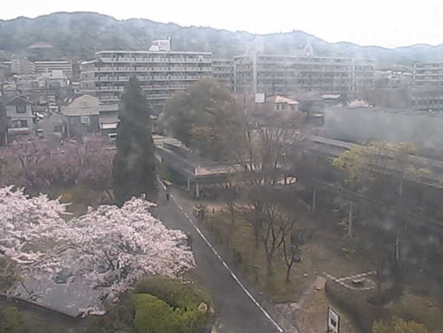 京都大学宇治キャンパスE棟から高峰山・おうばくプラザ・桜