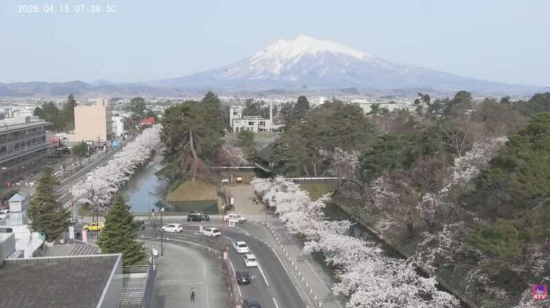ATV青森テレビ弘前公園岩木山ライブカメラ(青森県弘前市下白銀町) 2026年4月15日 桜開花状況