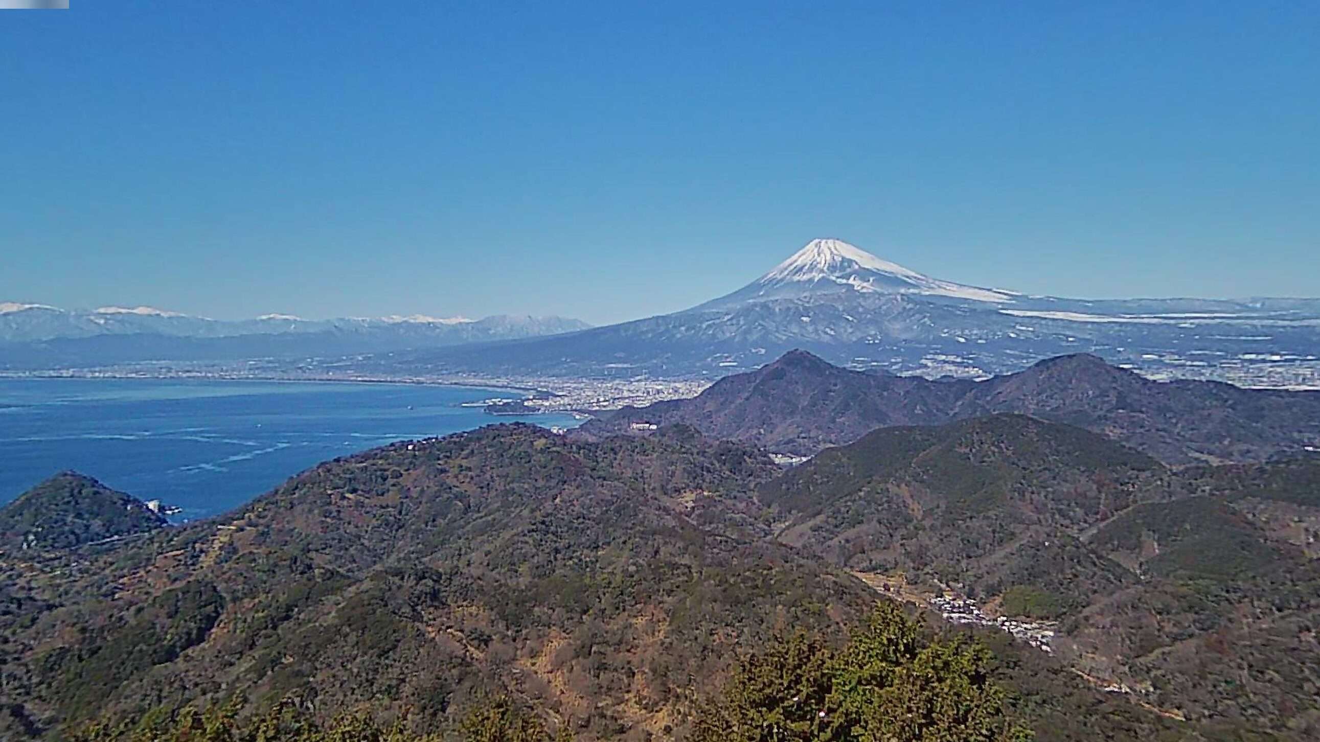 伊豆パノラマパーク碧テラスライブカメラ(静岡県伊豆の国市小坂)
