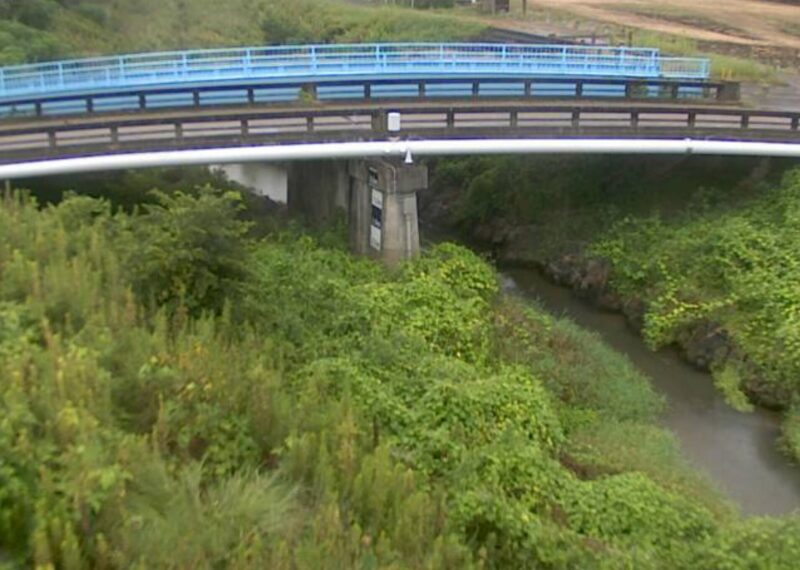 草谷川下草谷ライブカメラ(兵庫県稲美町下草谷)