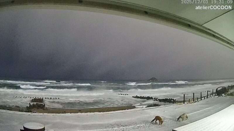 鳥取市伏野海岸ライブカメラ(鳥取県鳥取市伏野) 2025年12月3日 2025年12月3日 雪とキツネ