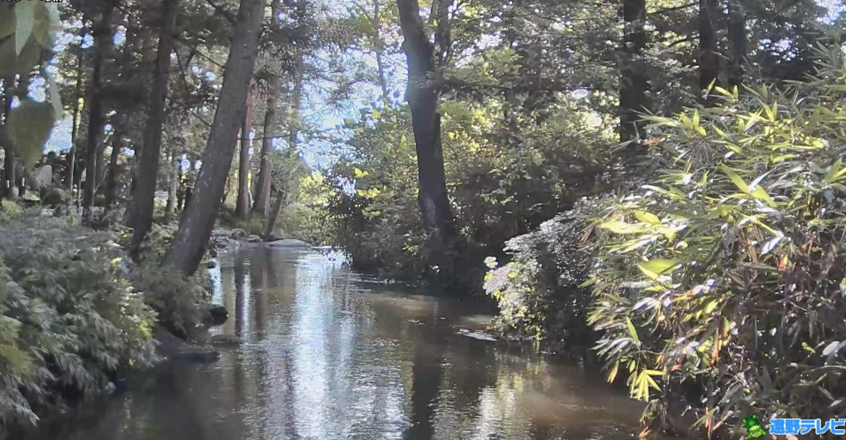 カッパ淵ライブカメラ(岩手県遠野市土淵町)