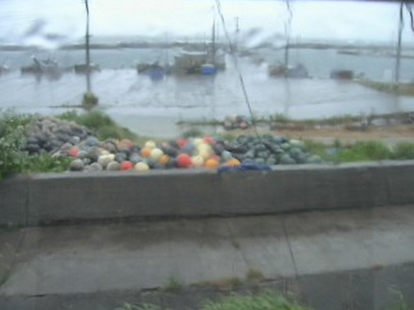 蓬田漁港