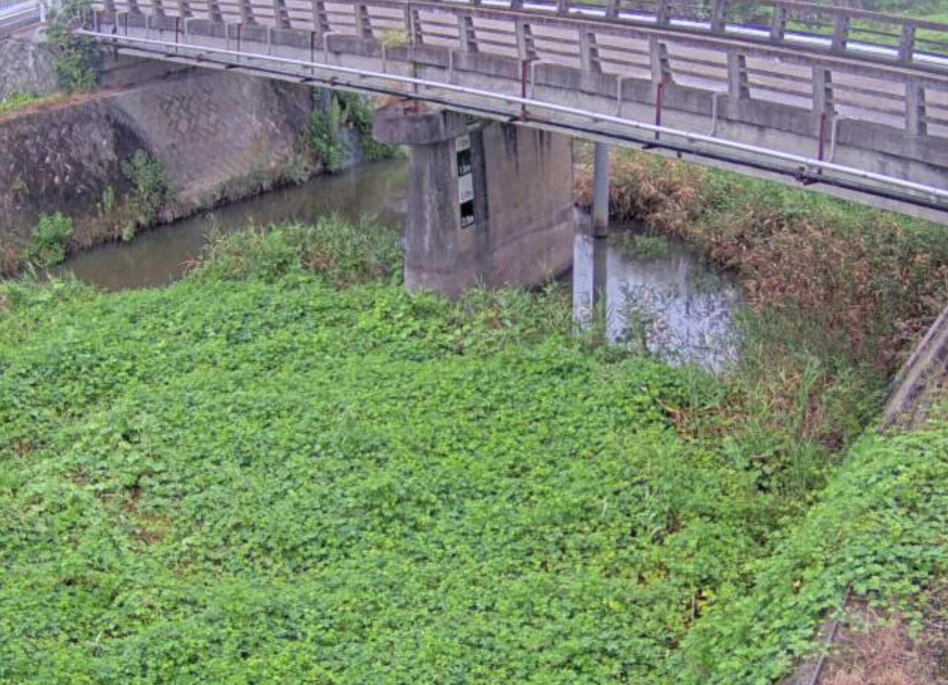 西川山條ライブカメラ(兵庫県加古川市平荘町里)