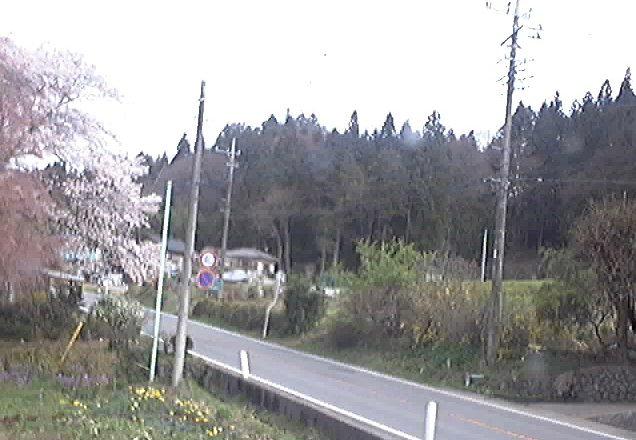 権田自動車から国道406号・桜