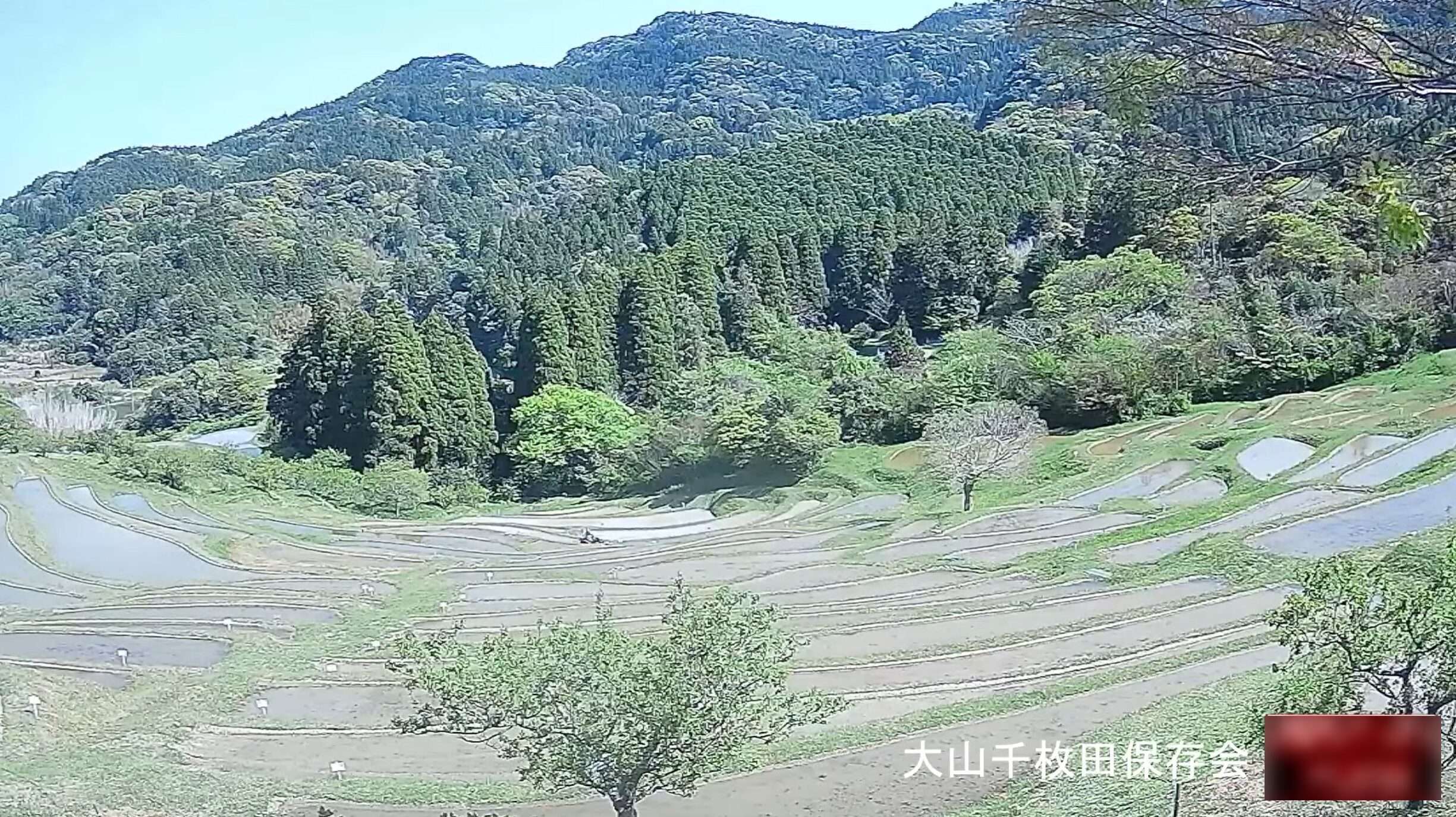 大山千枚田ライブカメラ(千葉県鴨川市平塚)