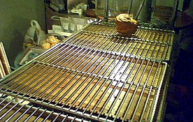 マフィンラボ鵠沼海岸店シュークリーム