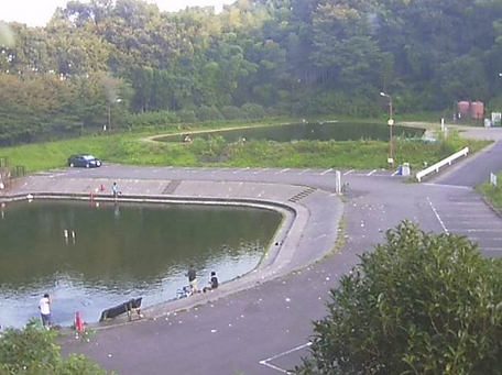 フィッシュオン王禅寺