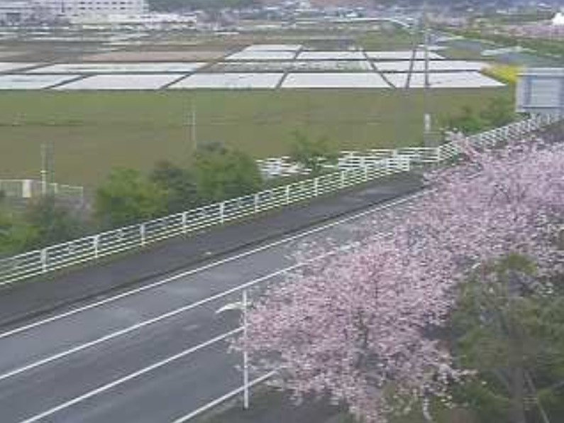 道の駅多古あじさい館ライブカメラ(千葉県多古町多古)