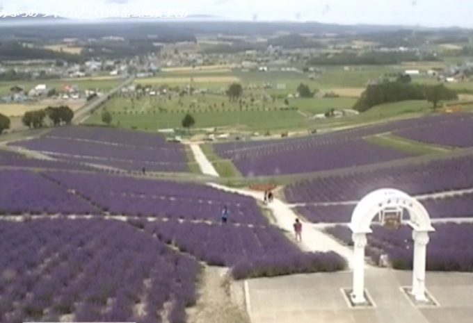 日の出公園ラベンダー畑ライブカメラ(北海道上富良野町東1線北)