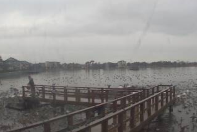 瓢湖第1ライブカメラ(新潟県阿賀野市)