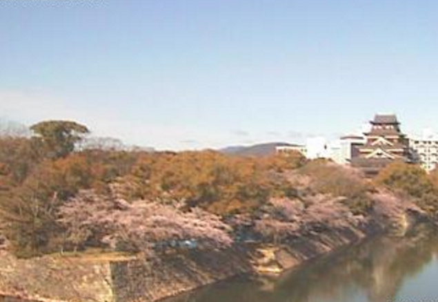 広島城・桜