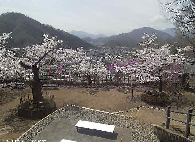岩殿山から大月市内・富士山・桜
