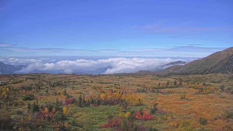 立山弥陀ヶ原ライブカメラ(富山県立山町芦峅寺)