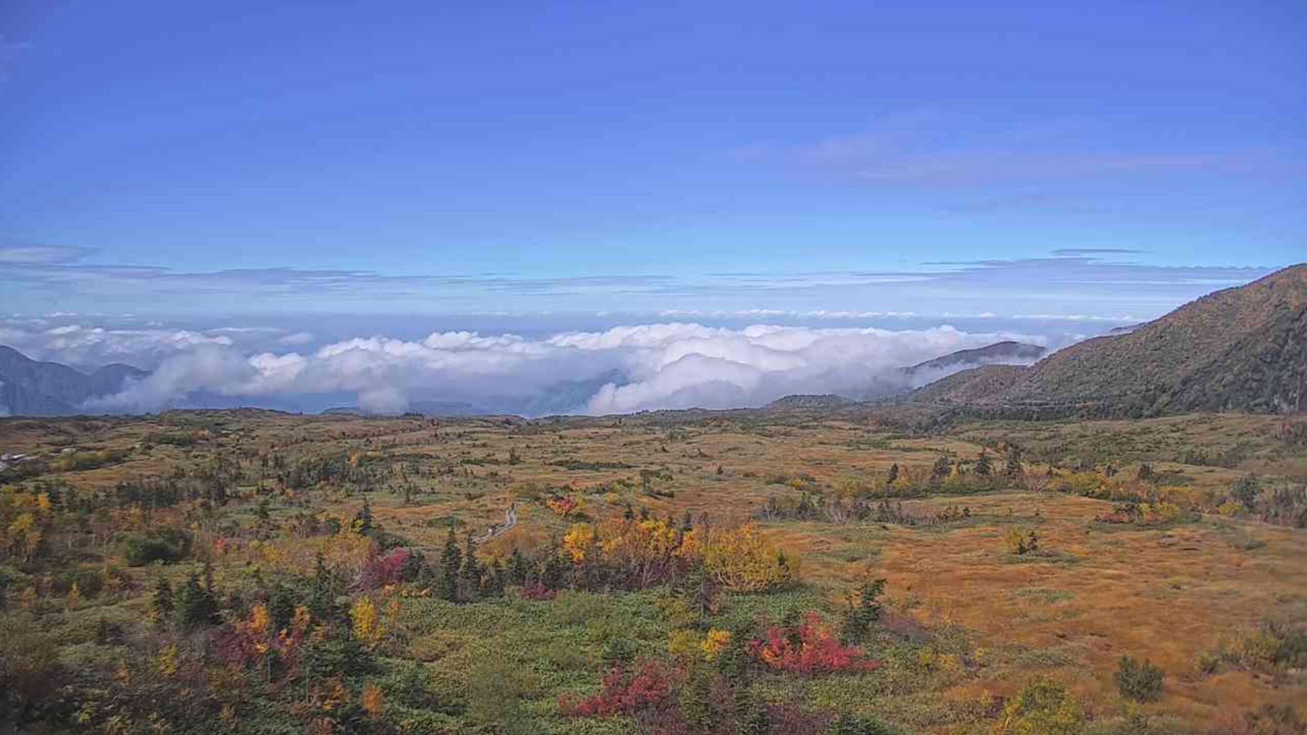 立山弥陀ヶ原ライブカメラ(富山県立山町芦峅寺)