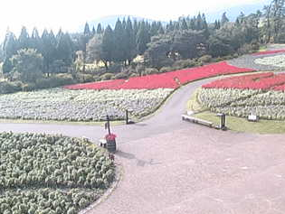 くじゅう花公園