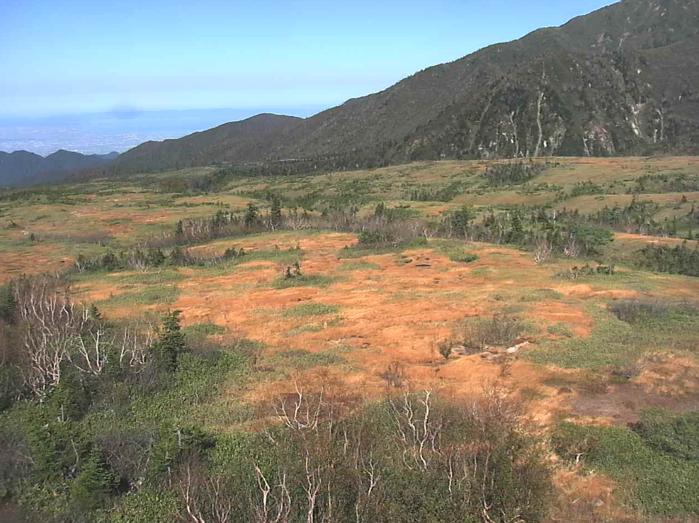 立山弥陀ヶ原ライブカメラは、富山県立山町芦峅寺の立山標高1930mに設置された弥陀ヶ原が見えるライブカメラです。