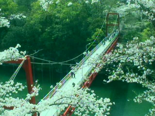新城桜淵付近から豊川・桜