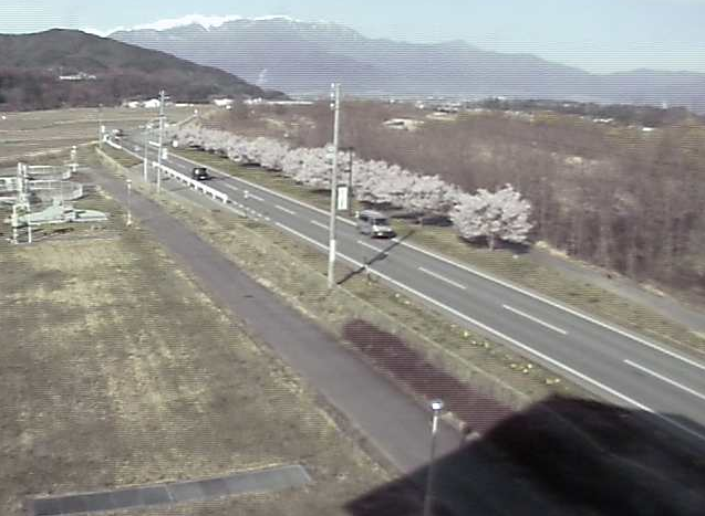 高遠浄化センターから長野県道209号・伊那市街地方面・桜