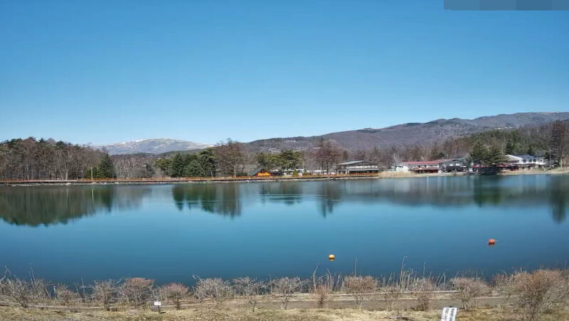 蓼の花蓼科湖畔ライブカメラ(長野県茅野市北山)
