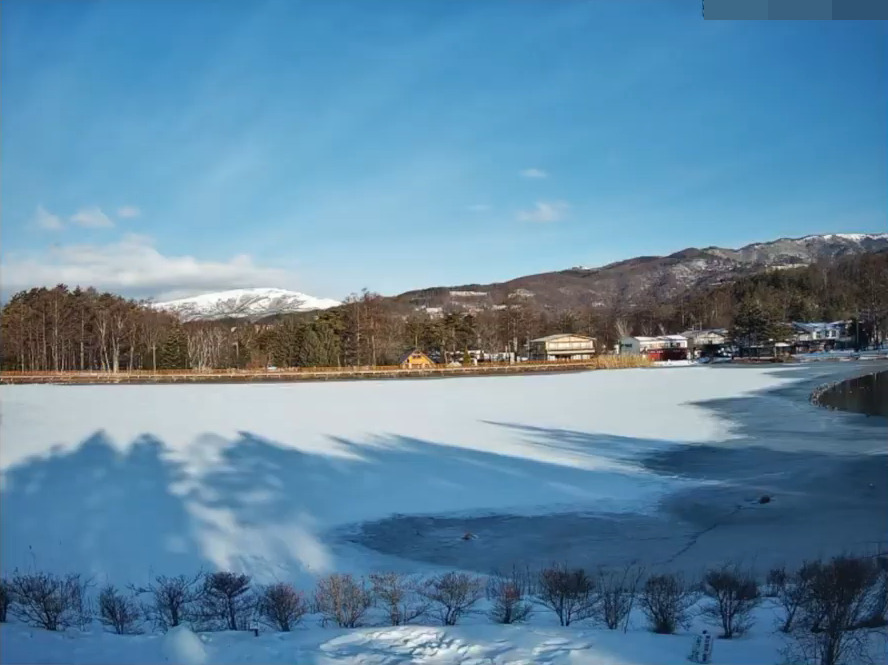 蓼の花蓼科湖畔ライブカメラ 長野県茅野市北山 ライブカメラdb
