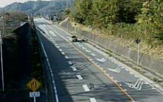 白州から国道20号