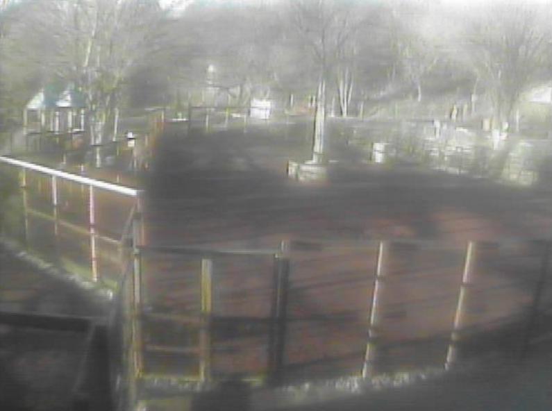 茶臼山動物園ライブカメラ(長野県長野市篠ノ井)