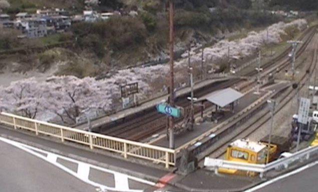 大歩危橋から西祖谷方面・吉野川上流・吉野川下流・大歩危駅・桜