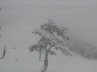 だいせんホワイトリゾートサービスセンターから豪円山エリア