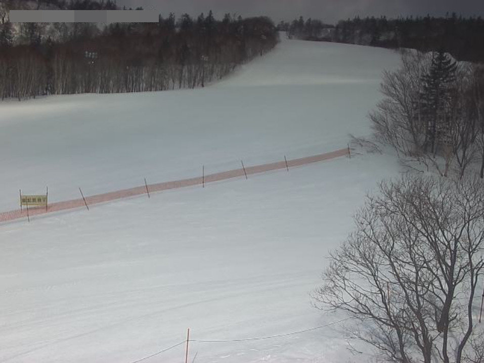 札幌国際スキー場ゲレンデ中腹地点ライブカメラ(北海道札幌市南区)