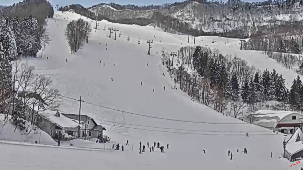 ハチ北高原スキー場中央ゲレンデライブカメラ 兵庫県香美町村岡区大笹 ライブカメラdb