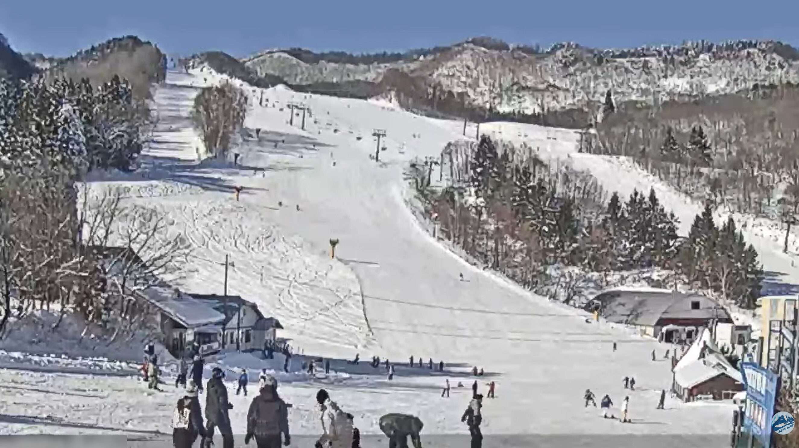 ハチ北高原スキー場中央ゲレンデライブカメラ(兵庫県香美町村岡区大笹)