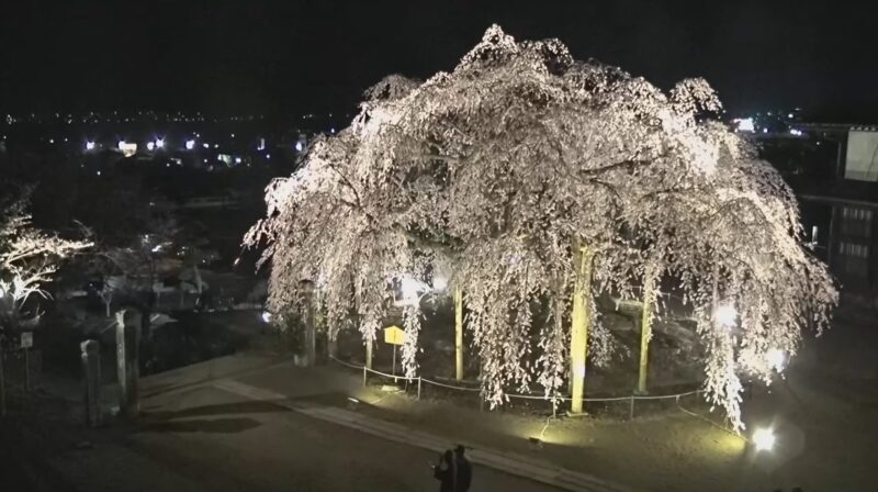ICTV座光寺麻績の里舞台桜ライブカメラ