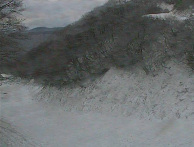 奥大山スキー場女良谷コース