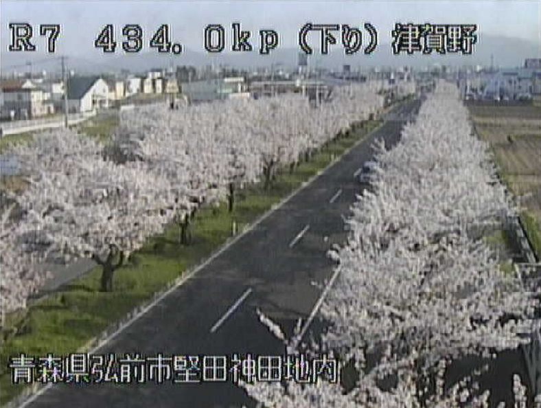 国道7号弘前津賀野ライブカメラ(青森県弘前市津賀野)