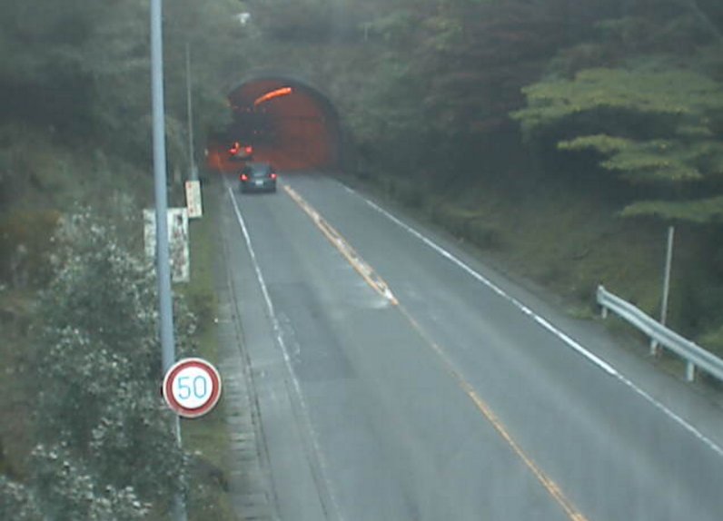 国道136号船原トンネル東側ライブカメラは、静岡県伊豆市上船原の船原トンネル東側に設置された国道136号(西伊豆バイパス)が見えるライブカメラです。