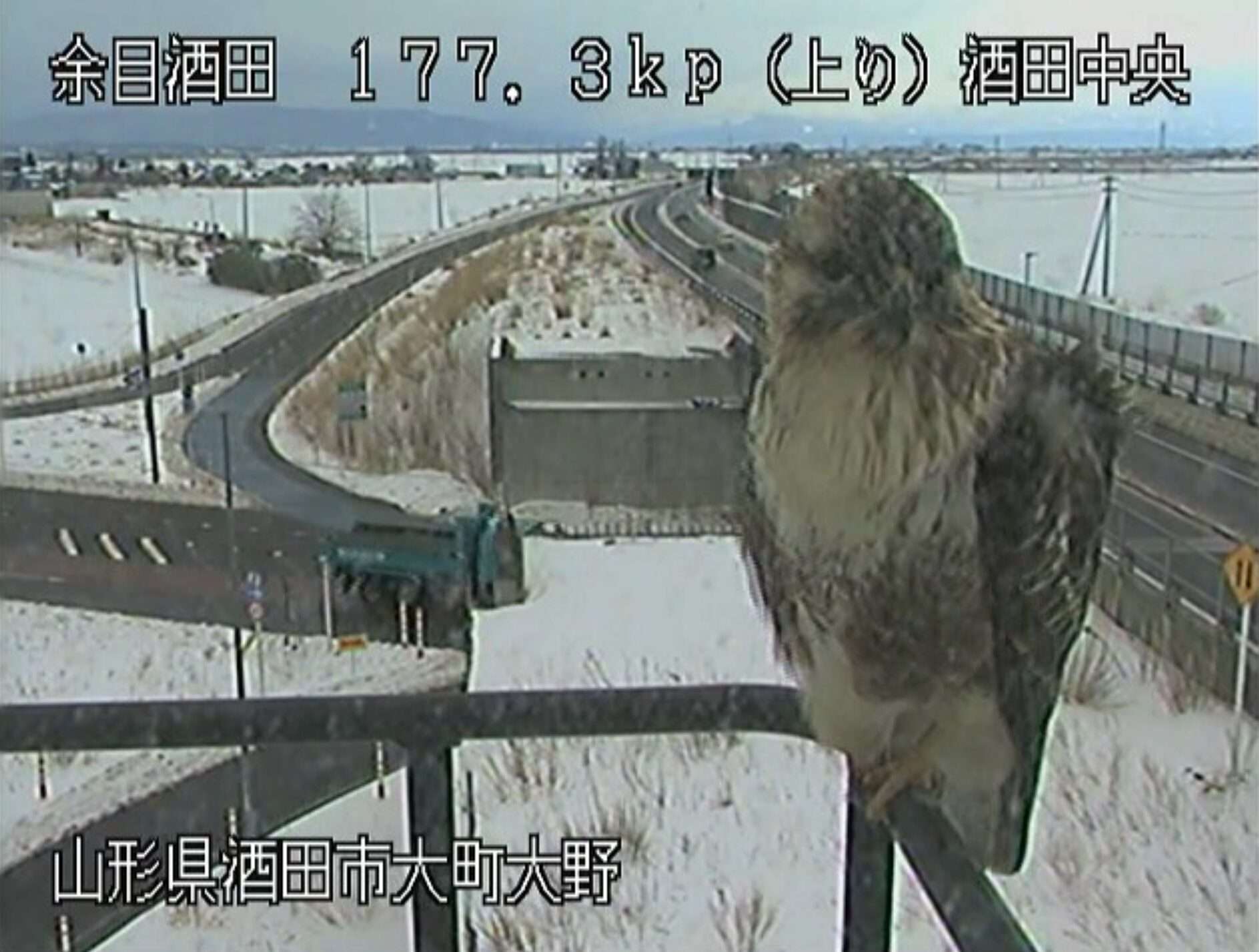 余目酒田道路酒田中央インターチェンジライブカメラ(山形県酒田市大町)