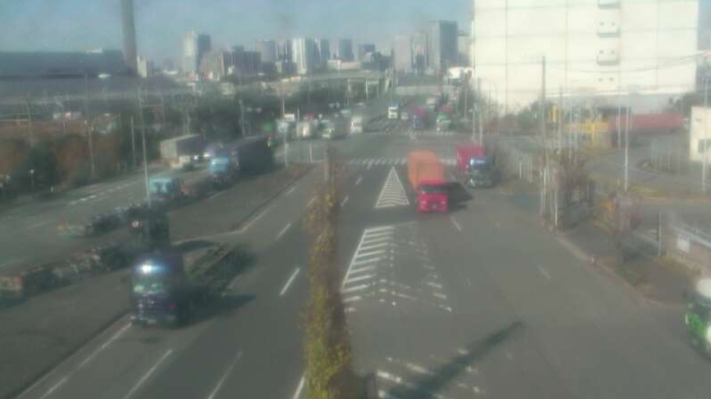 大井コンテナターミナルからアウトゲート前緑地帯