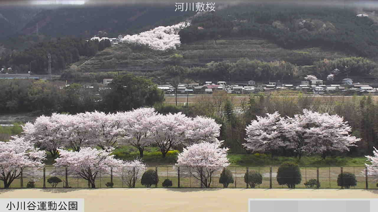 小川谷運動公園吉野川ライブカメラ(徳島県東みよし町昼間)