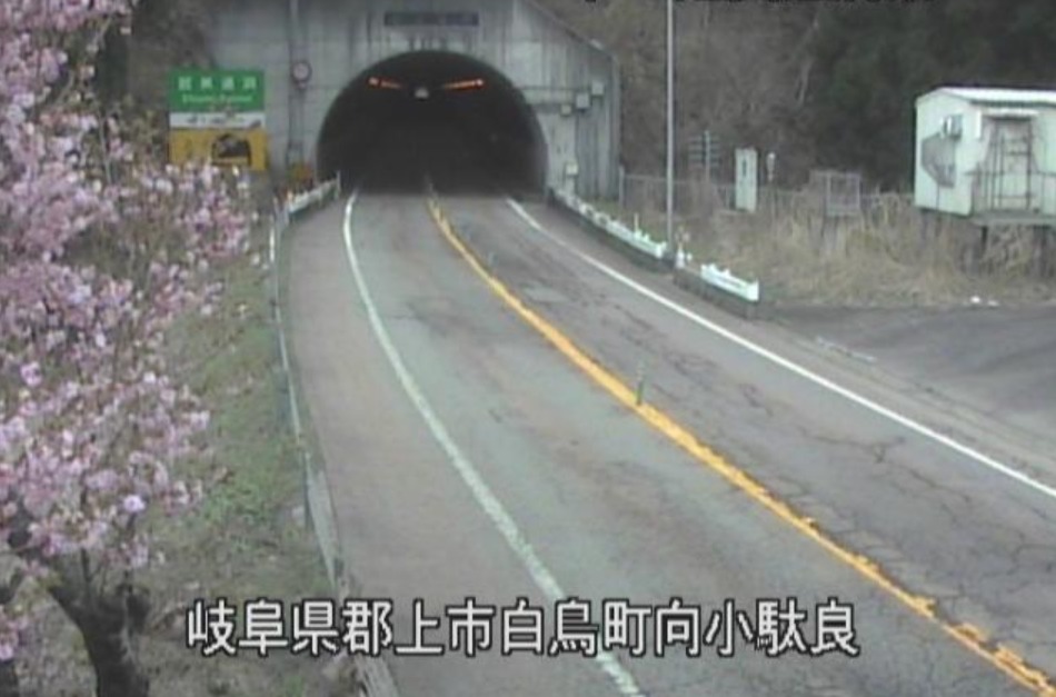 国道158号越美通洞東ライブカメラ(岐阜県郡上市白鳥町)