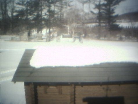 花茶からミニ牧場