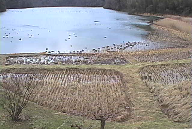 加賀市鴨池観察館