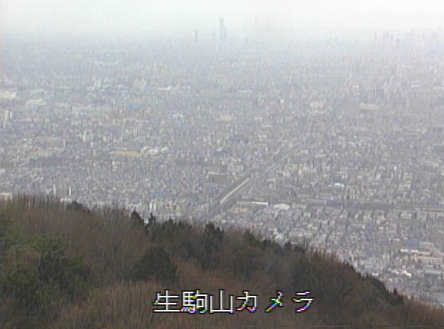 生駒山府民の森から東大阪市内