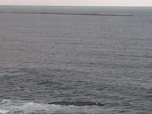 磯埼灯台から磯崎漁港・常陸那珂港・鹿島灘