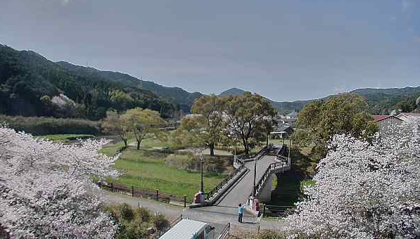 河浦町一町田地区からふれあい橋・一町田川・桜