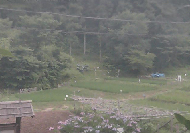 日立ITエコ実験村ライブカメラ(神奈川県秦野市千村)