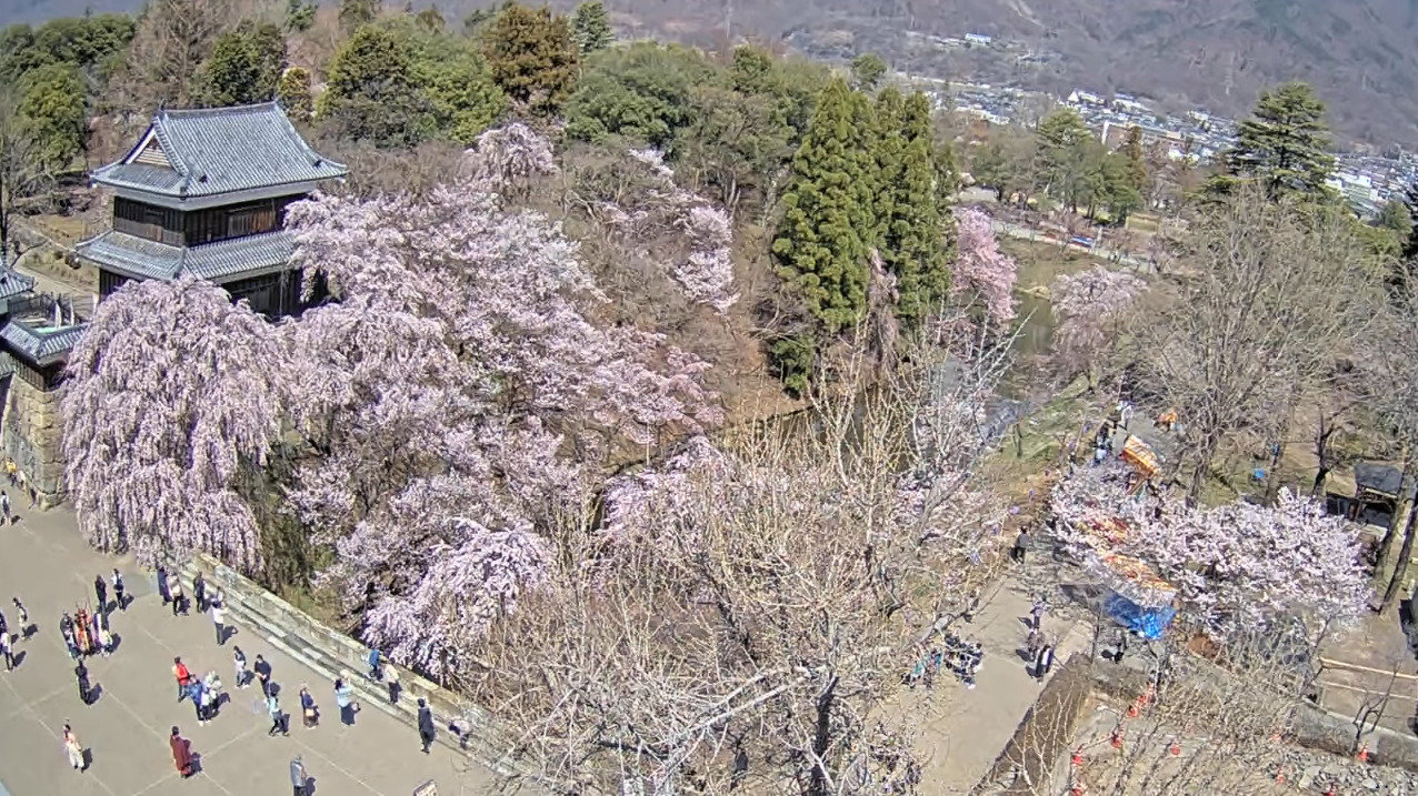 UCV上田城千本桜お堀東側ライブカメラ(長野県上田市二の丸)