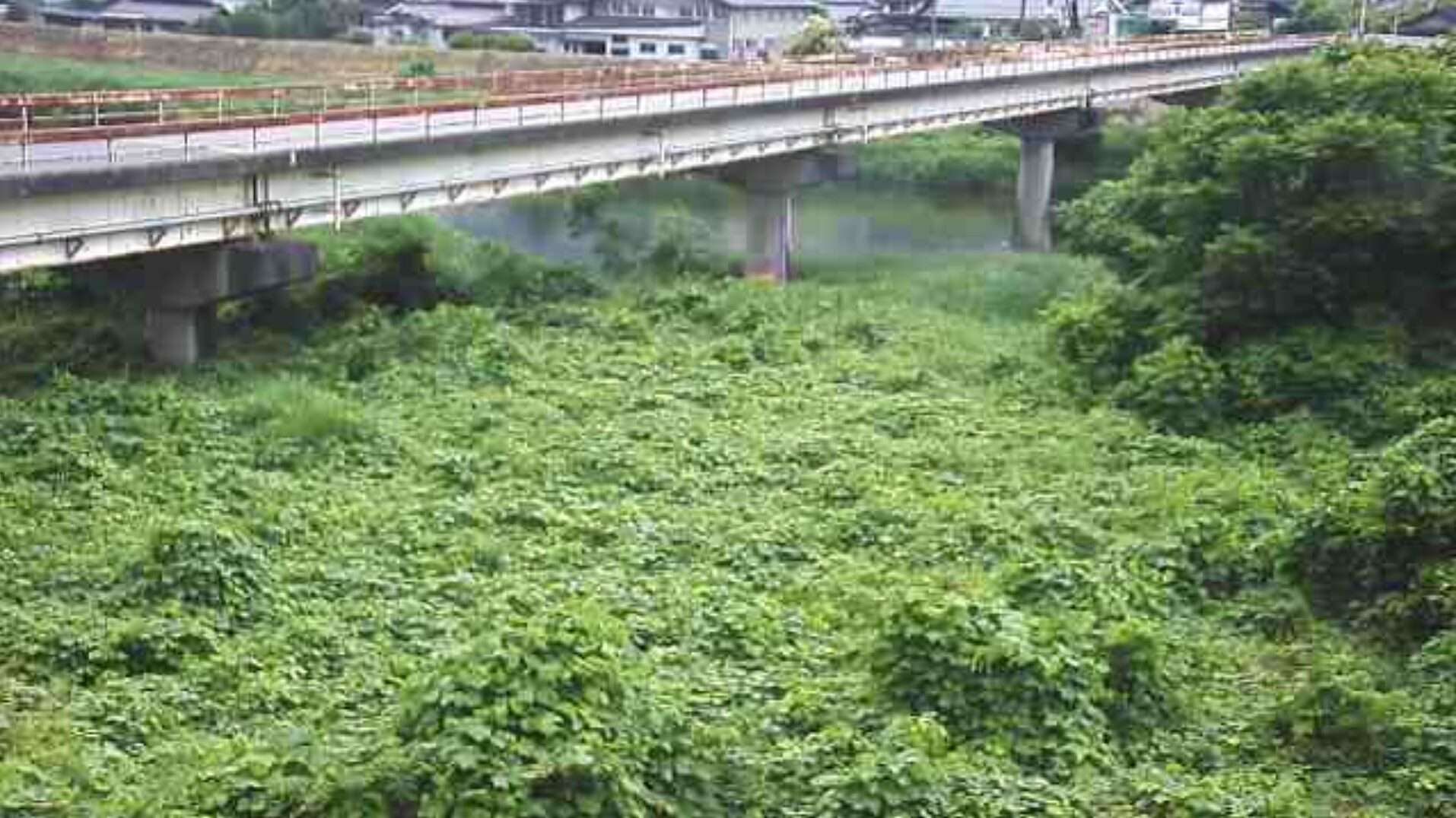 旭川勝山ライブカメラ(岡山県真庭市勝山)
