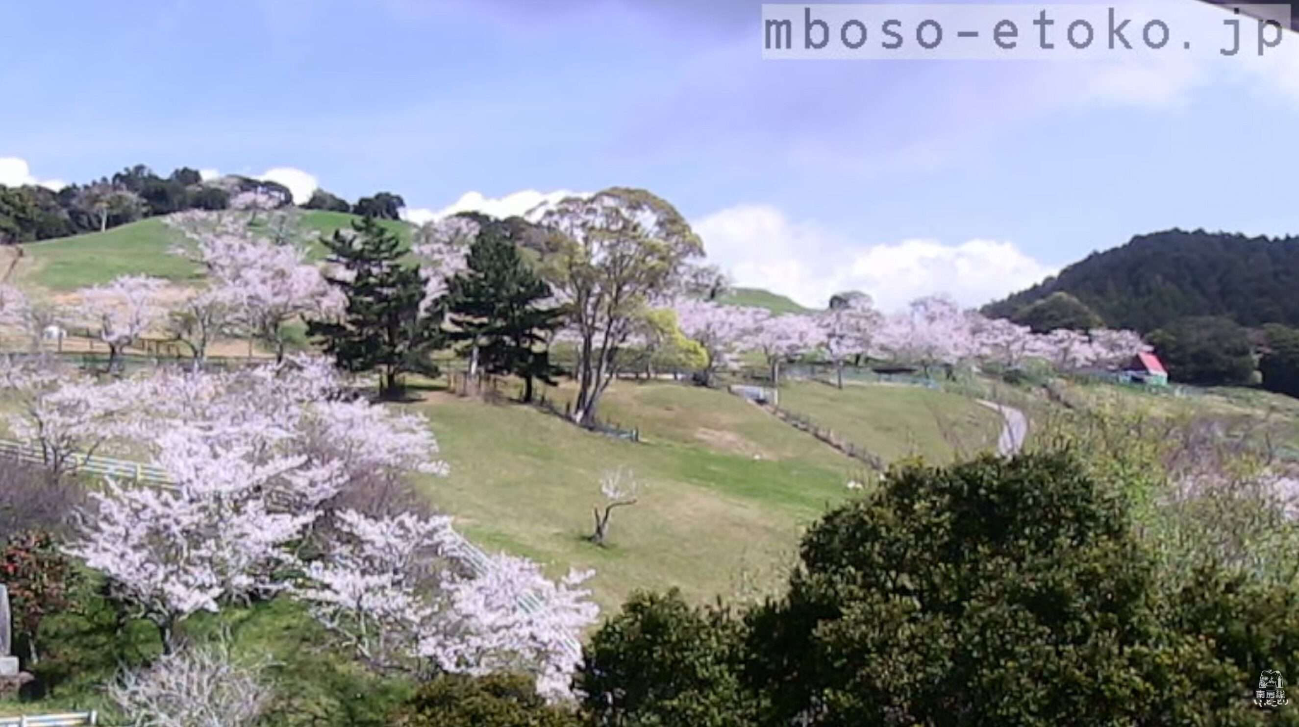 千葉県酪農のさとライブカメラ(千葉県南房総市大井)
