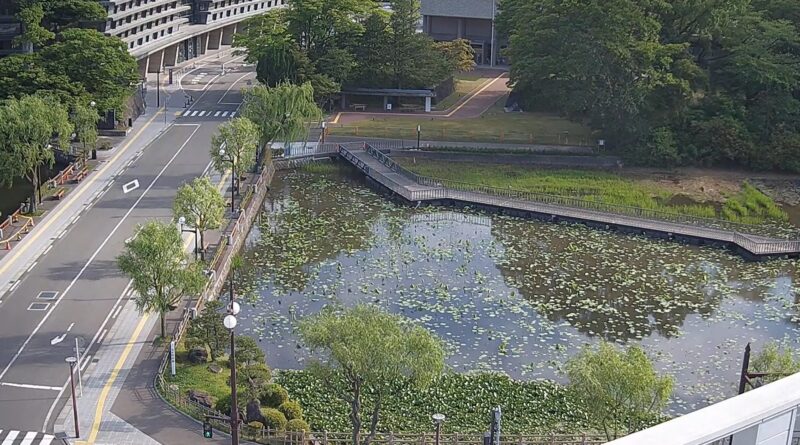 千秋公園ライブカメラ(秋田県秋田市千秋明徳町)